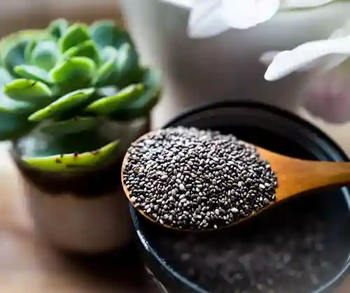  Chia seeds for weight loss