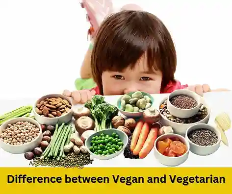 vegan vs vegetarian